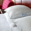 Wyndham Atlanta Buckhead Hotel & Conference Center