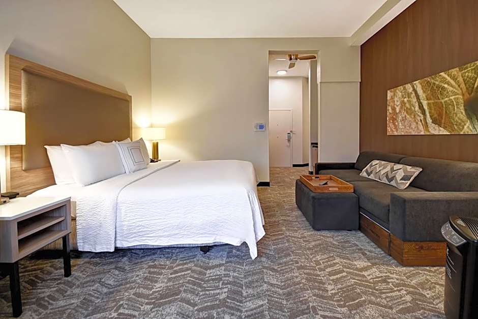 SpringHill Suites by Marriott Atlanta Kennesaw