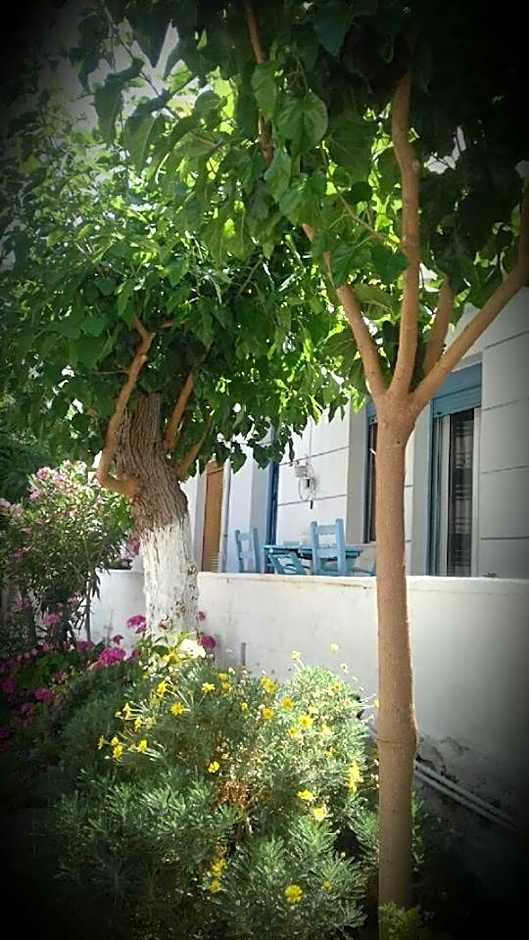 Smaragdi Studios and Rooms