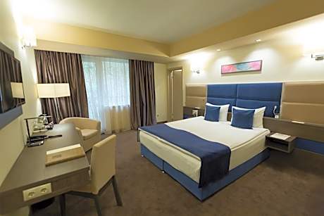 Deluxe Double Room with New Year's Package