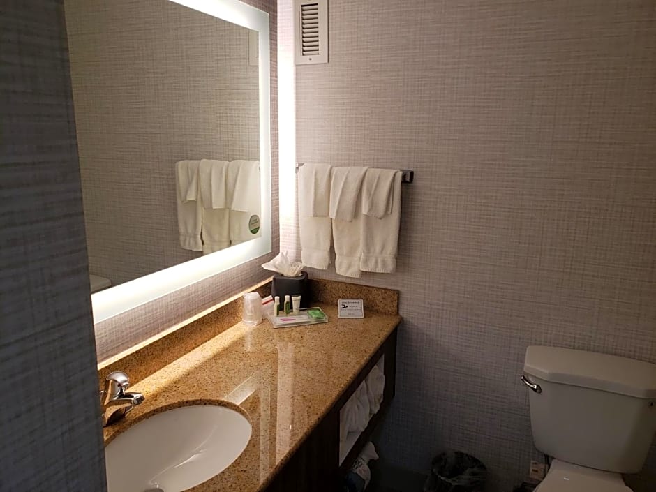 Holiday Inn Huntsville - Research Park By IHG