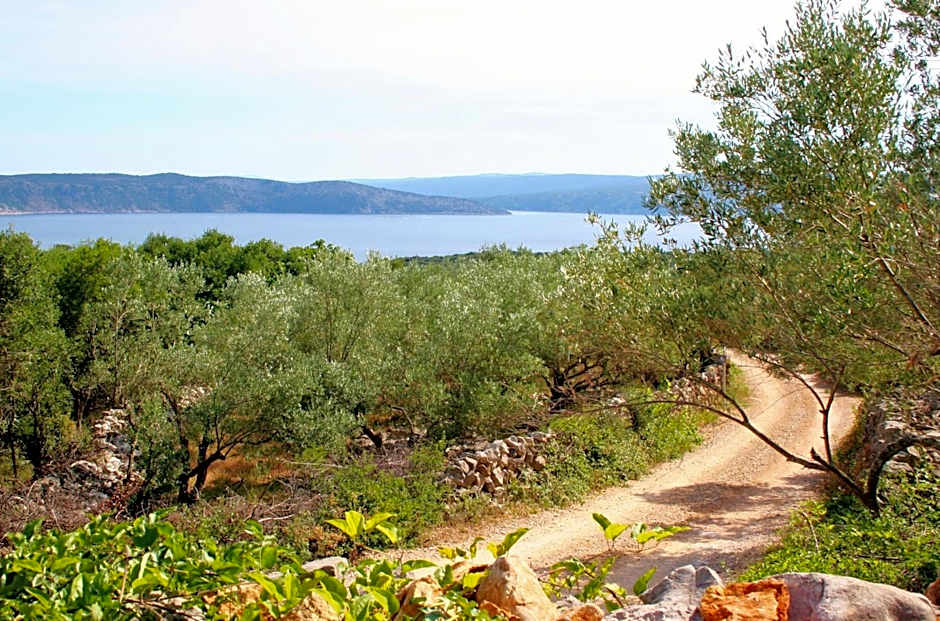 Boutique B&B Agroturizam Sv. Juraj