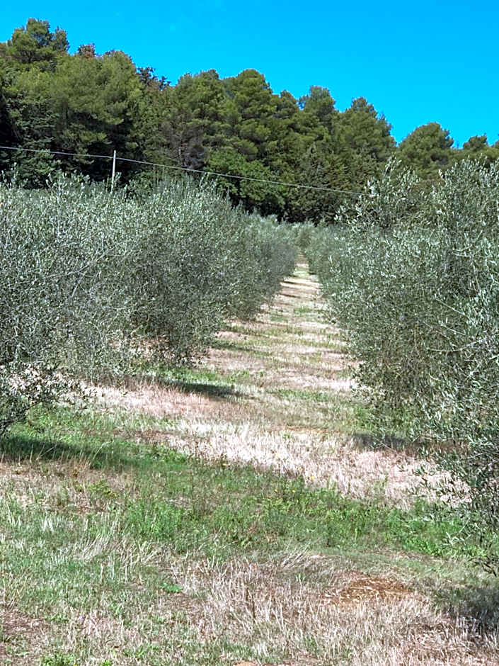 Azienda Agrituristica I Tre Casali