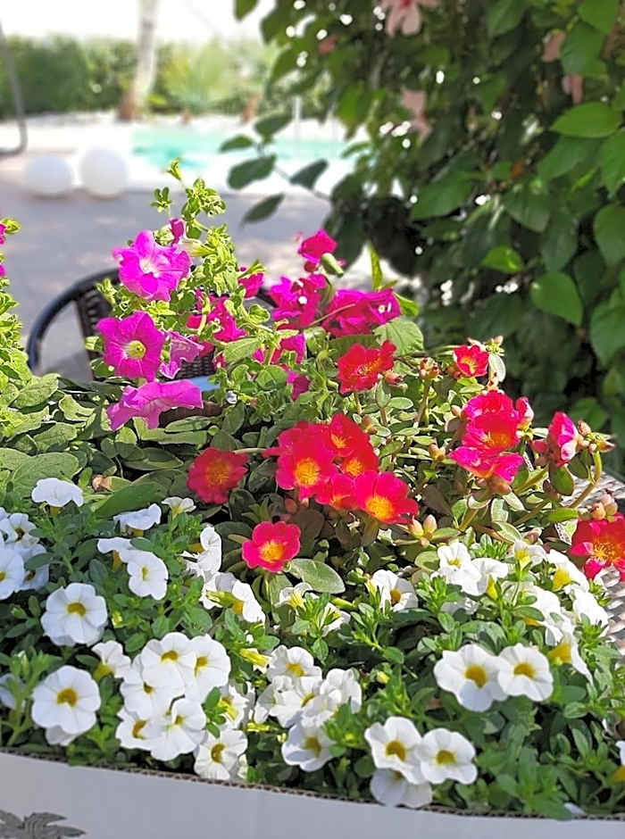 Villetta Del Salento Exclusive B&B