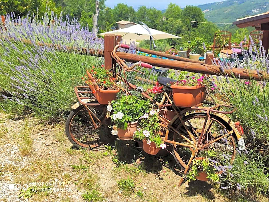 Country House Antiche Dimore