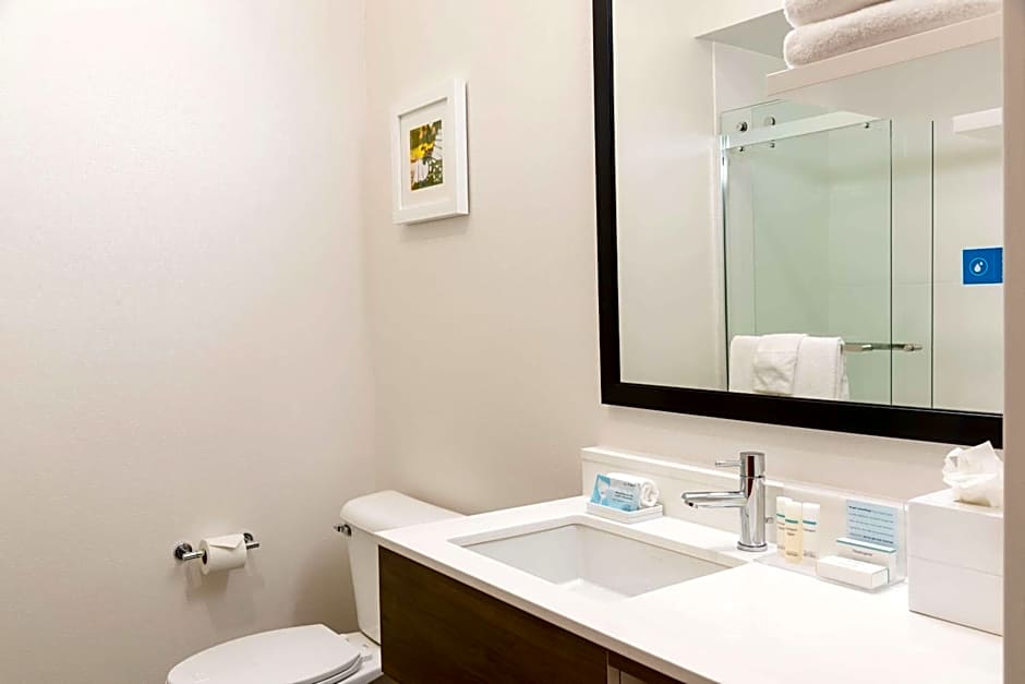 Hampton Inn By Hilton & Suites East Lansing/Okemos