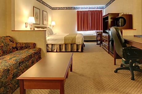 1 King Bed Deluxe Suite NS