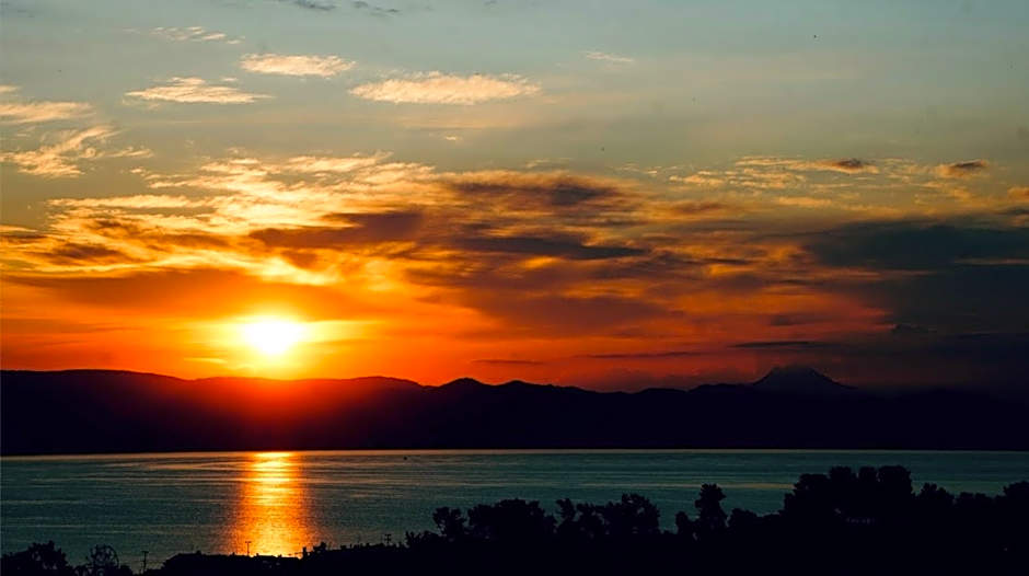 Sun Sight - Deluxe Panoramic Suites