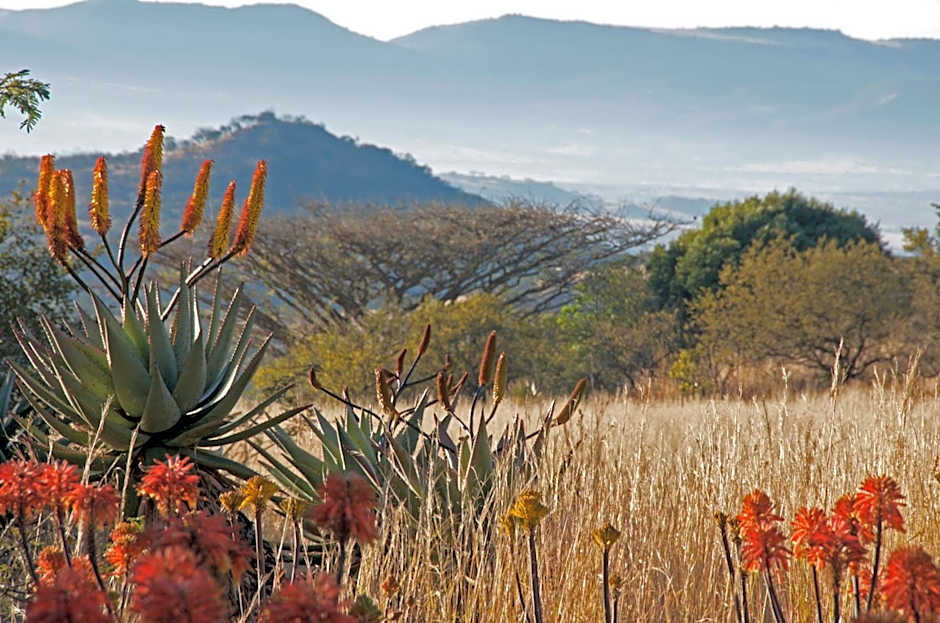 Three Tree Hill Lodge