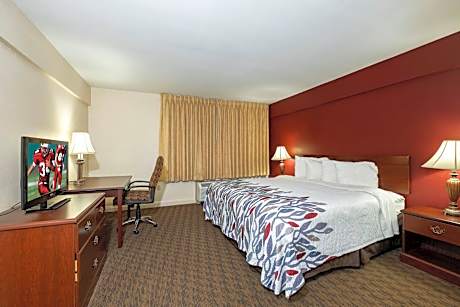 Suite King Room Non-Smoking