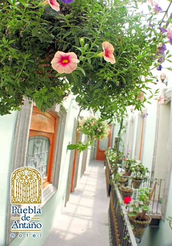 Hotel Puebla De Antano