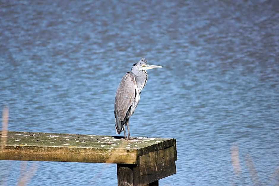 Lakeside Park Hotel & Spa