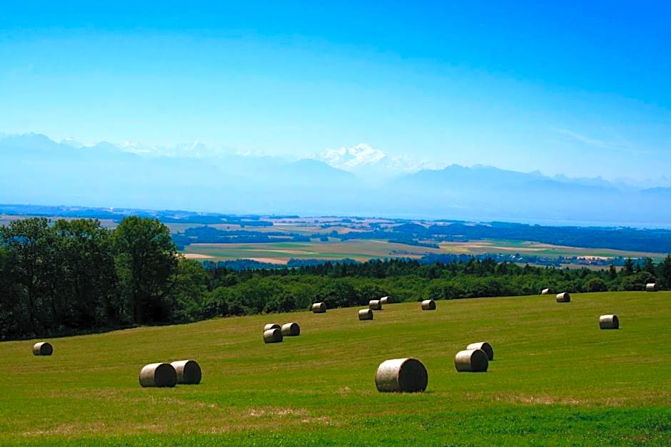 La Ferme de la Praz - Rooms with a View