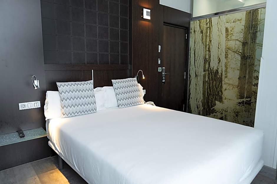 Petit Palace President Castellana