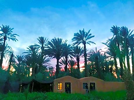 Bivouac Lot Of Stars