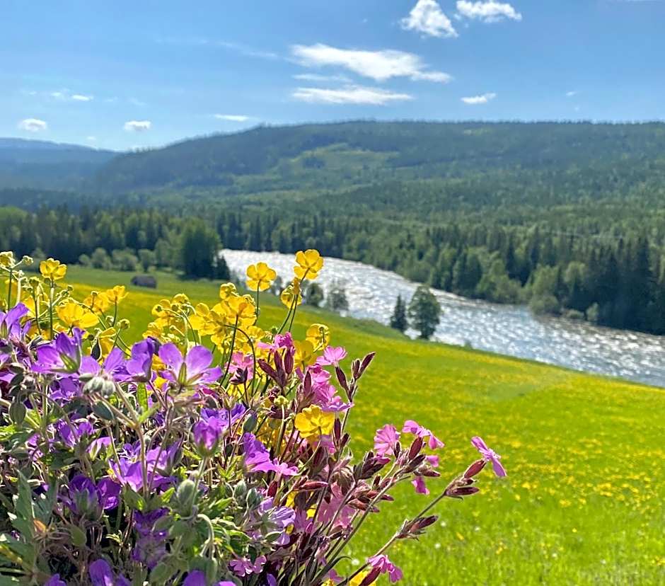 Millestgården Eco lodge