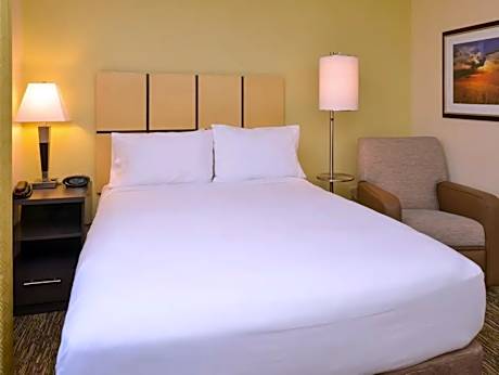 1 Queen Studio Suite Kitchen