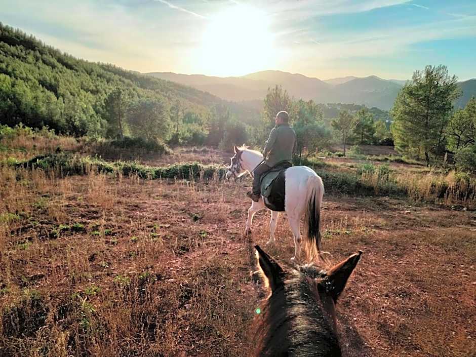 Hotel Moli De La Torre