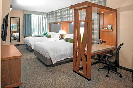 Queen Suite with Sofa Bed