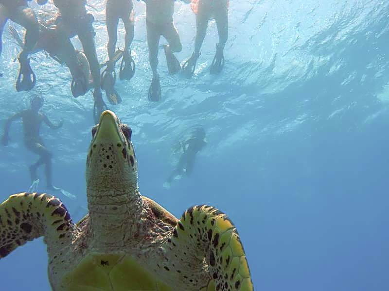 Narnia Maldives Hotel at Maafushi