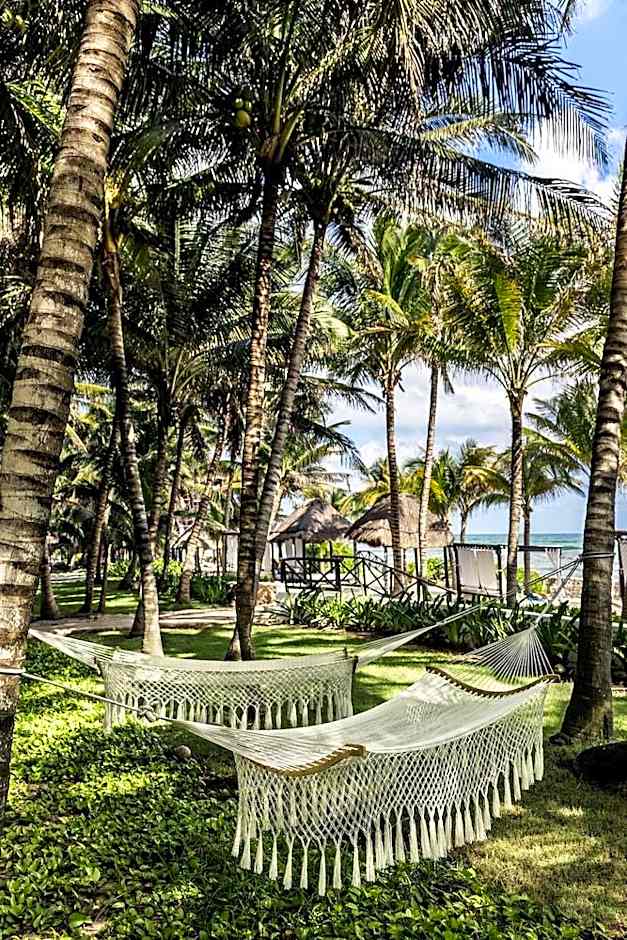 El Dorado Seaside Palms - Catamaran, Cenote & More Inclusive- Adults Only