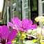 Bed & Breakfast De Oude Heerd