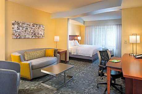 King Studio with Sofa Bed