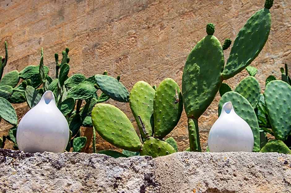 Masseria Santa Lucia