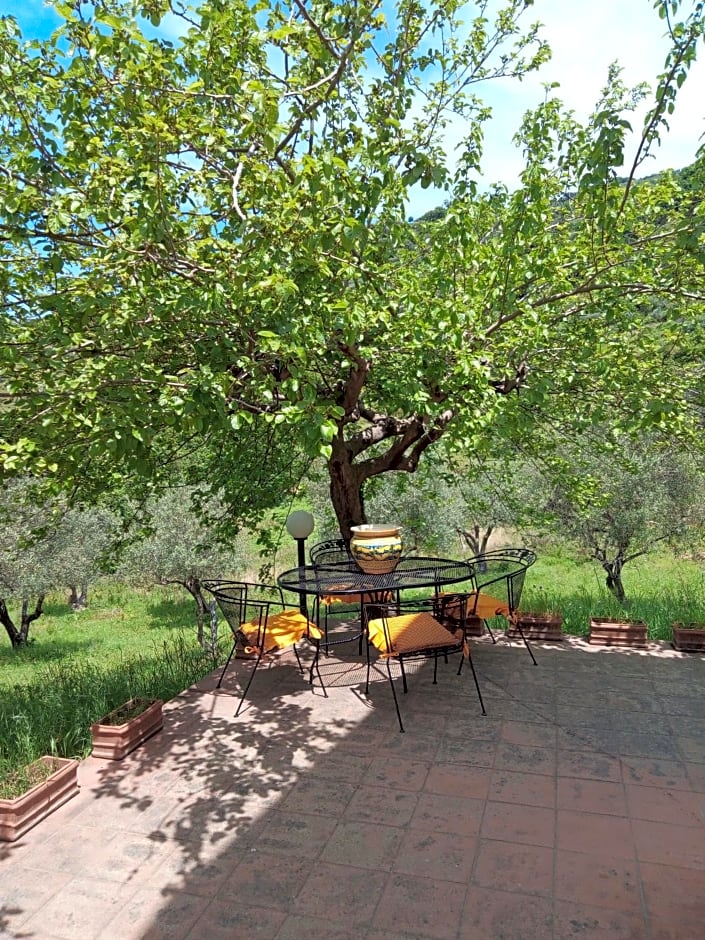 L'Antica Quercia B&B