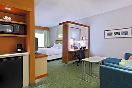 King Studio with Sofa Bed - Hearing Accessible