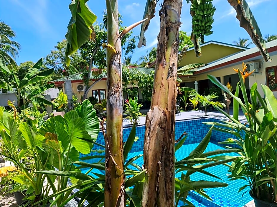 Tiger shark Residence 