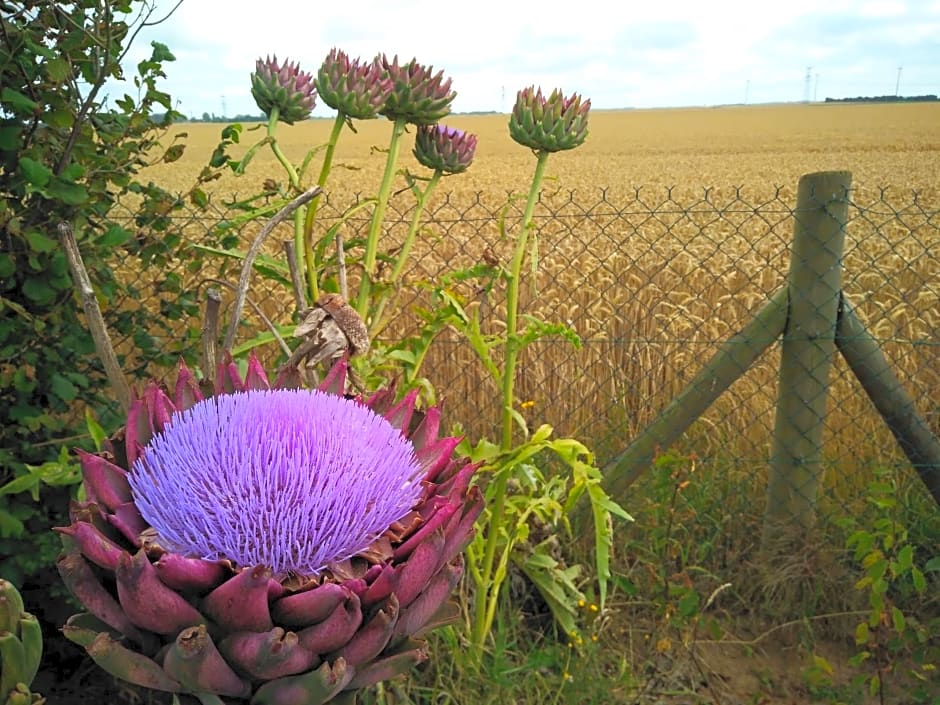 Chambre D'hotes Le Clos Fleuri