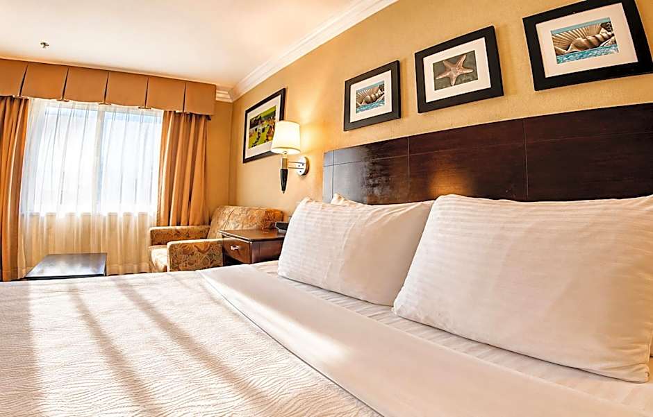 The Volare, an Ascend Collection Hotel