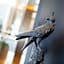 The Peregrine Omaha Downtown Curio Collection by Hilton