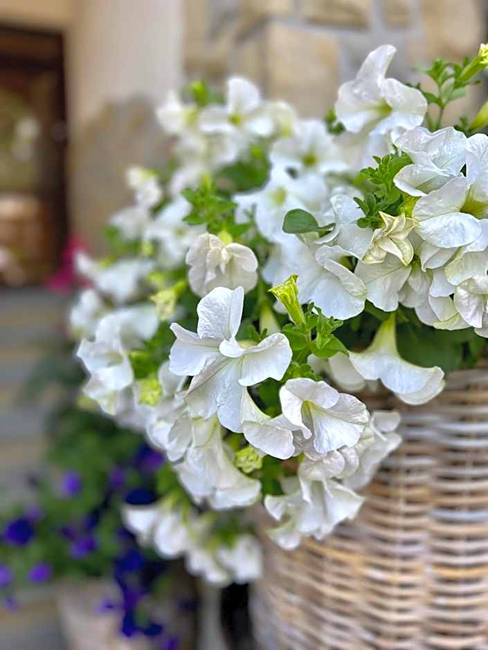 Hotel Nosal Ski & Wine