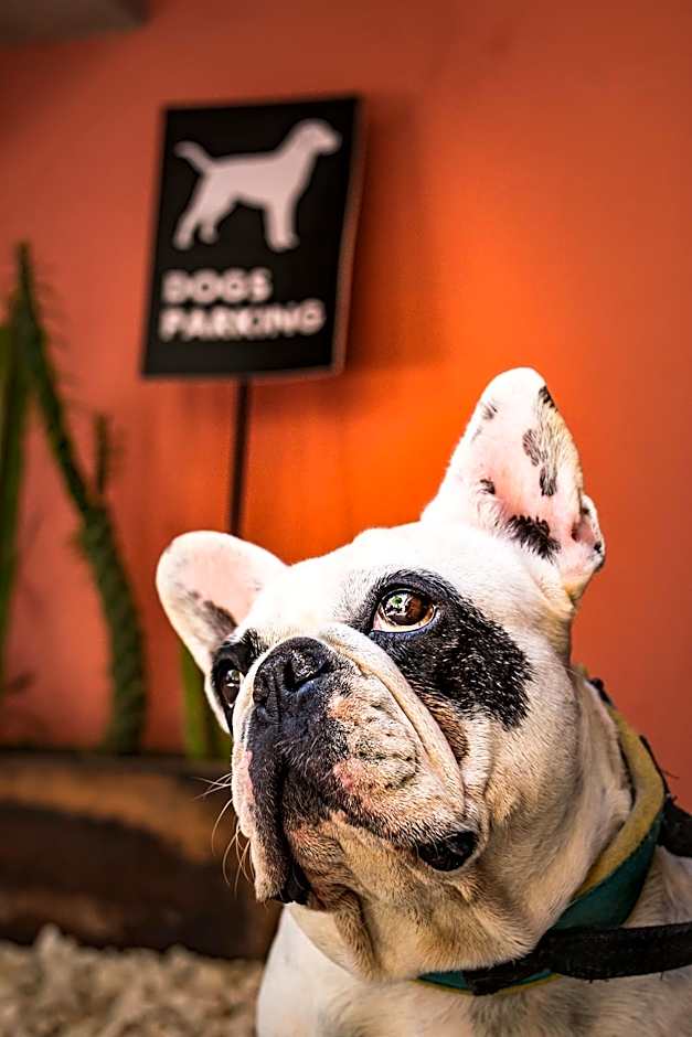 Hotel Ciclovía & Terraza