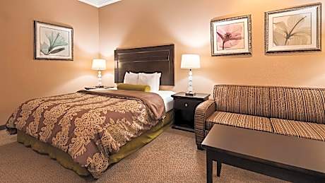1 King Bed, Non-Smoking, 32-Inch Lcd Television, High Speed Internet Access, Microwave And Refrigera