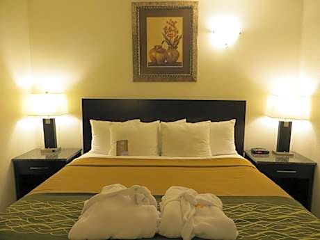 King Jacuzzi Suite - Non-Smoking