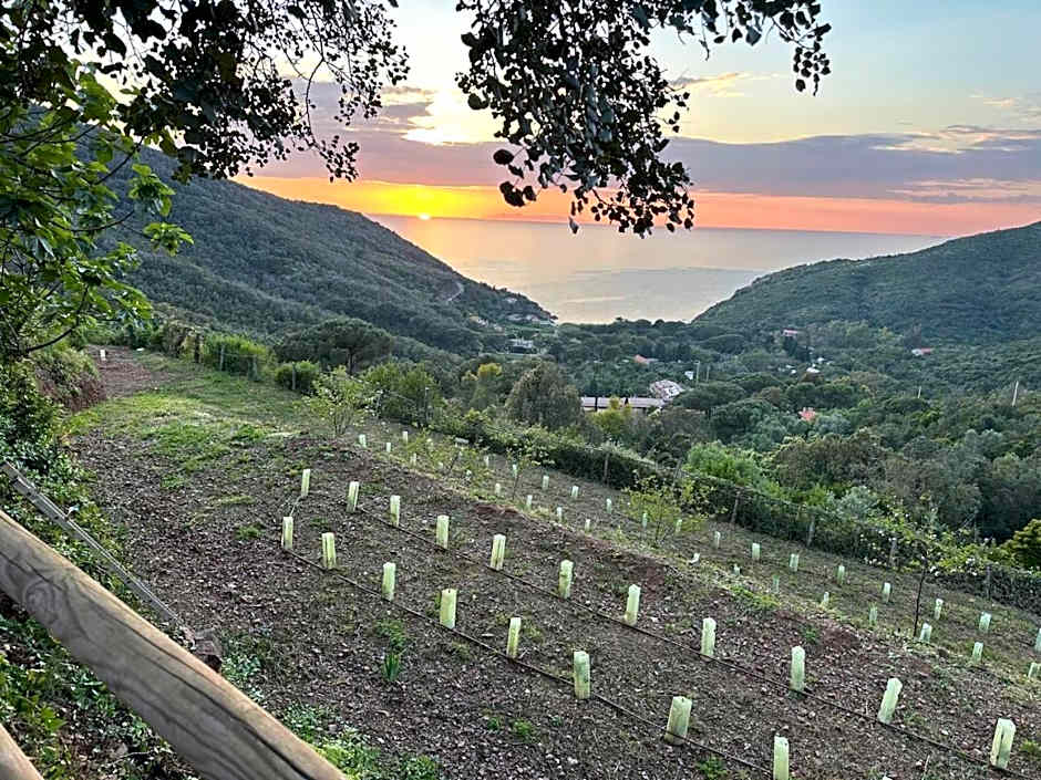 Agriturismo Paradisa