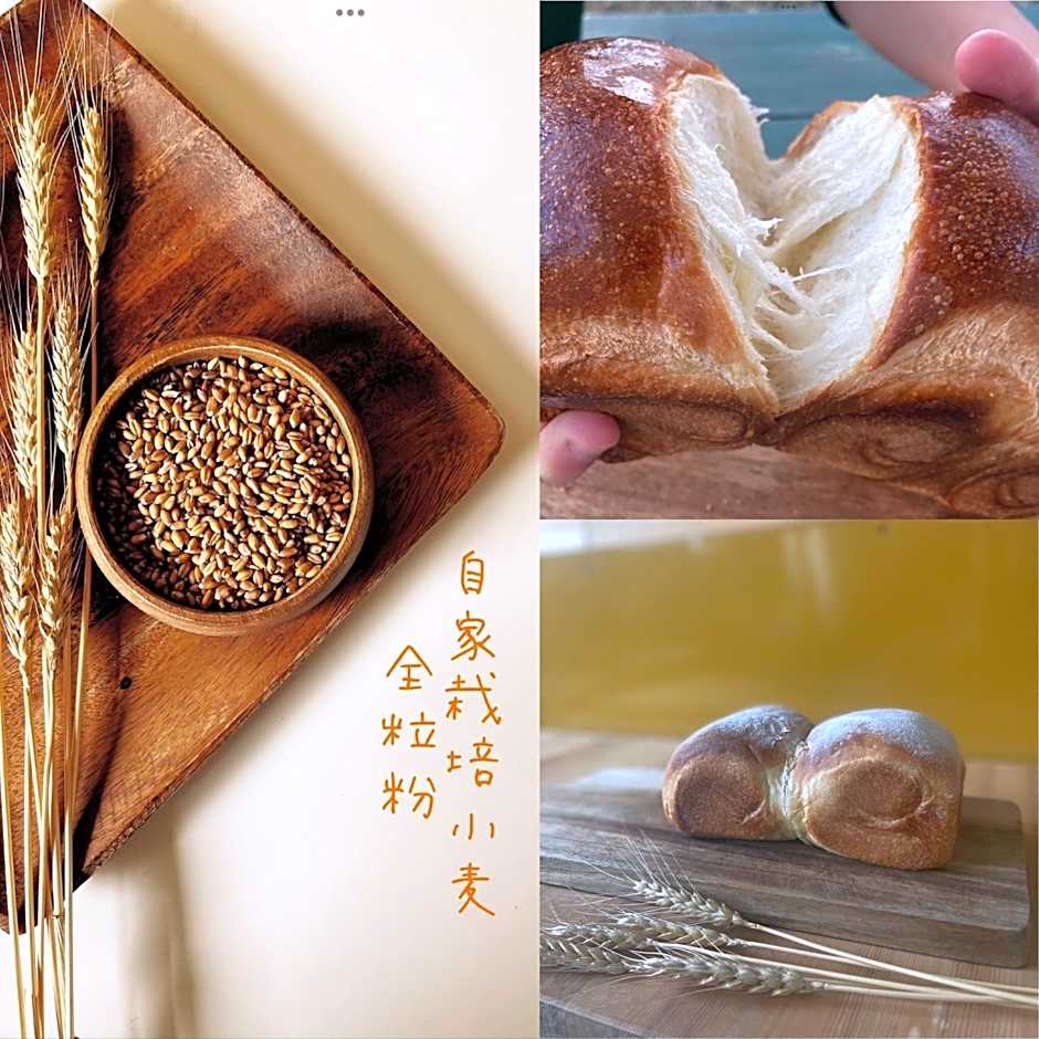 西海岸オーガニック小麦畑1200坪眺望FarmStayYululu