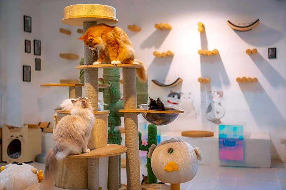 Patong Beach Side Hotel