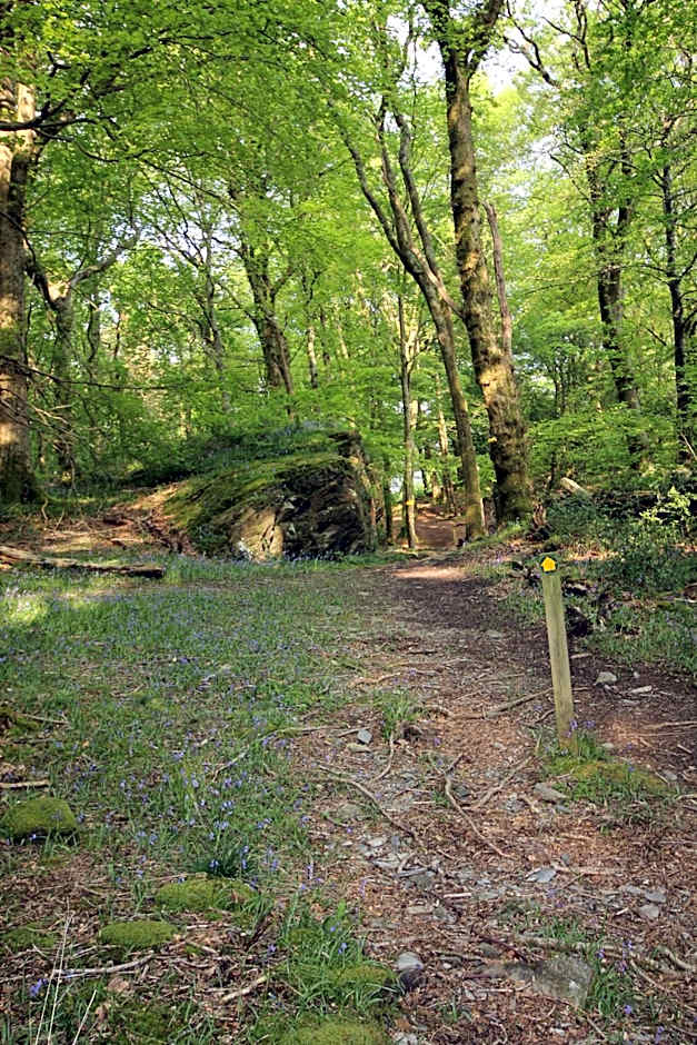 Aberdunant Hall Holiday Park