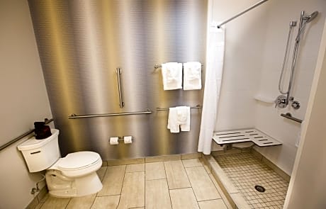 Suite with Shower - Hearing Accessible - Non-Smoking