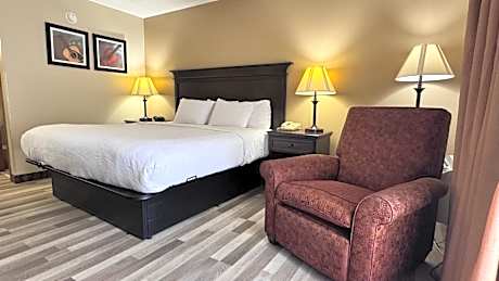 Superior Efficiency Queen Suite - Non-Smoking