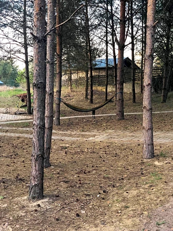 Agroturystyka Oaza Ciszy i Spokoju