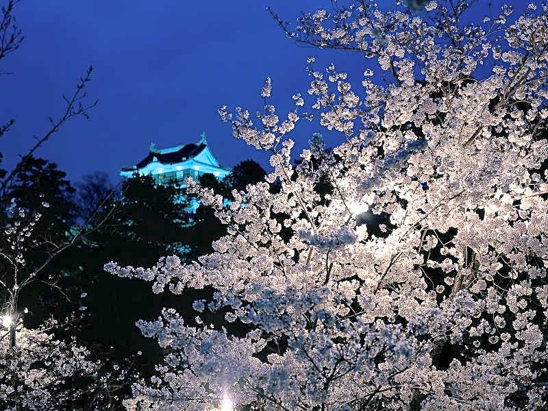 Kaze no Tani no Iori