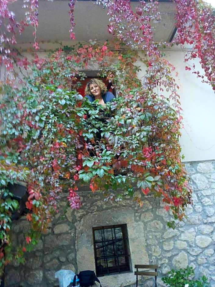 Il rifugio nel parco
