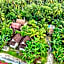 Kubu Artha Bungalow Nusa Penida