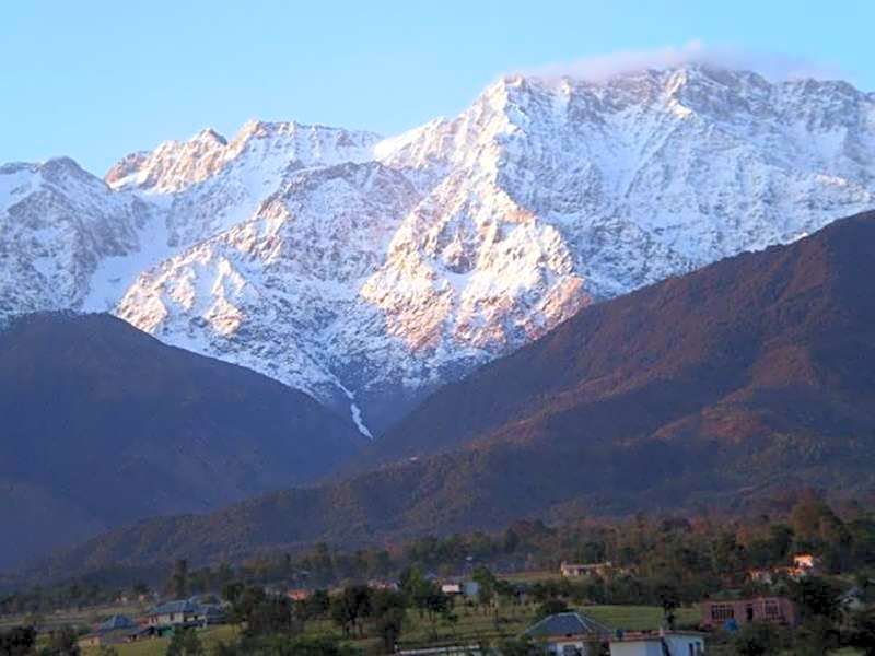 Hotel Seclude Palampur