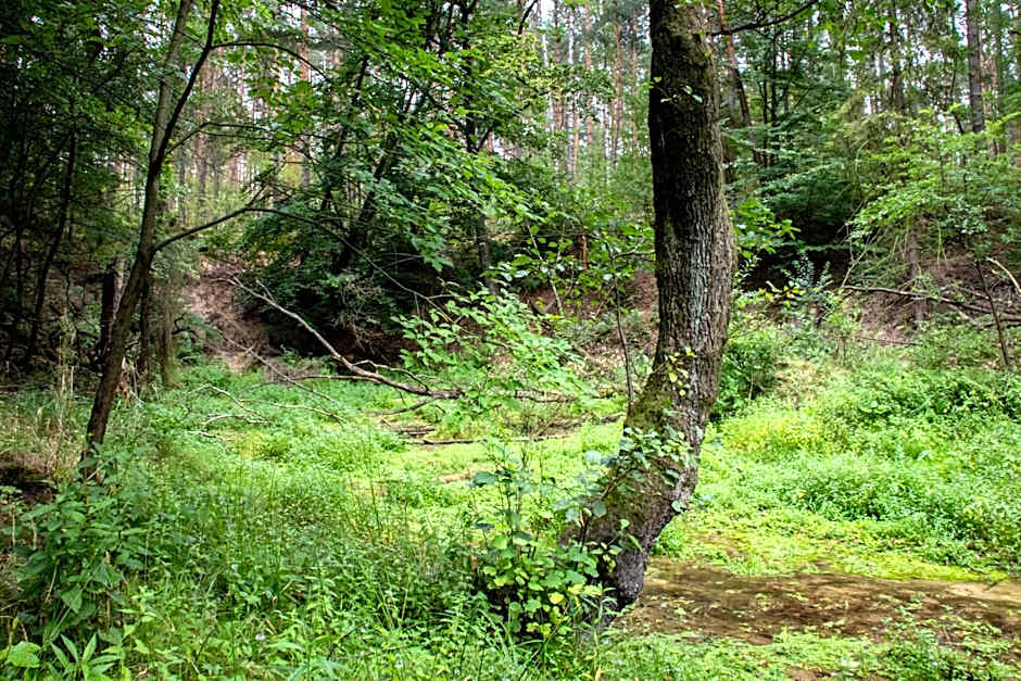 Ośrodek wypoczynkowy "Źródła Dobrej"